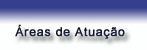 &Aacute;reas de Atua&ccedil;&atilde;o